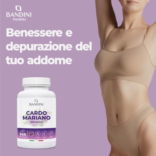  Bandini Semolino di Cicoria 366 Gocce 1200 mg al Giorno | Supplimento Silimarina | Perfetto per Digestione e Purificazi